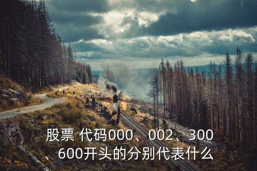  股票 代碼000、002、300、600開頭的分別代表什么