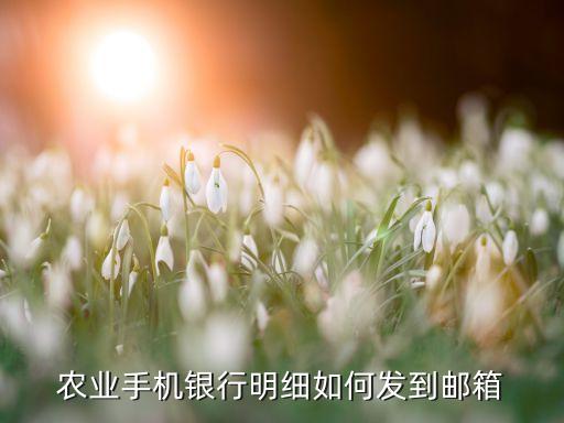 農(nóng)業(yè)手機銀行明細(xì)如何發(fā)到郵箱