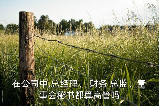 在公司中,總經(jīng)理、 財(cái)務(wù) 總監(jiān)、董事會(huì)秘書都算高管嗎
