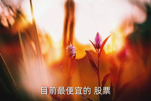 目前最便宜的 股票