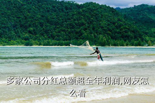 多家公司分紅總額超全年利潤,網(wǎng)友怎么看