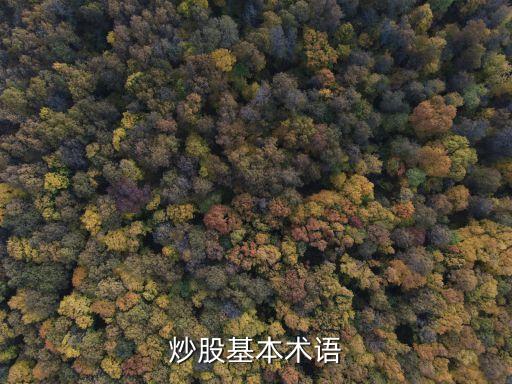 炒股基本術語
