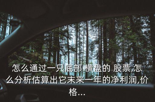怎么通過一只底部 橫盤的 股票,怎么分析估算出它末來一年的凈利潤,價格...