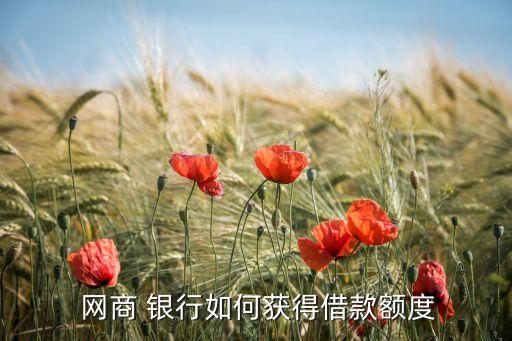  網商 銀行如何獲得借款額度