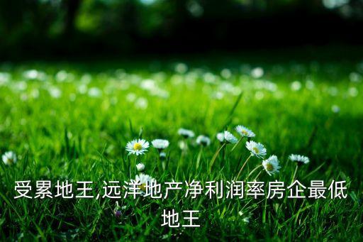 湖南地王集團資產(chǎn)多少,湖南永強資產(chǎn)管理集團怎么樣