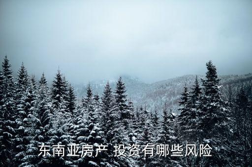 東南亞房產(chǎn) 投資有哪些風險
