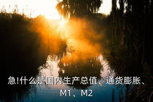 急!什么是國內(nèi)生產(chǎn)總值、通貨膨脹、M1、M2