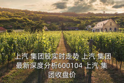  上汽 集團(tuán)股實時走勢 上汽 集團(tuán)最新深度分析600104 上汽 集團(tuán)收盤價