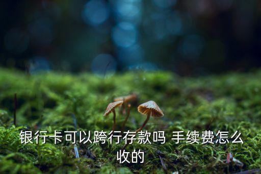  銀行卡可以跨行存款嗎 手續(xù)費怎么收的