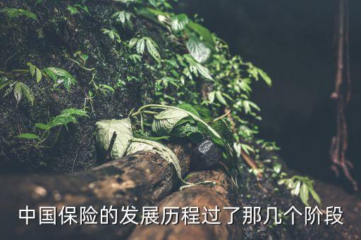 中國(guó)保險(xiǎn)的發(fā)展歷程過了那幾個(gè)階段