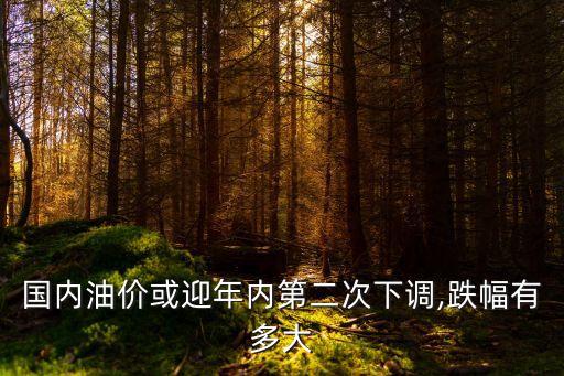 國內(nèi)油價或迎年內(nèi)第二次下調(diào),跌幅有多大