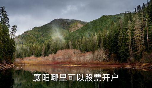 襄陽(yáng)哪里可以股票開(kāi)戶