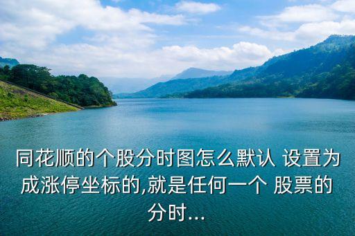 同花順的個股分時圖怎么默認 設置為成漲停坐標的,就是任何一個 股票的分時...