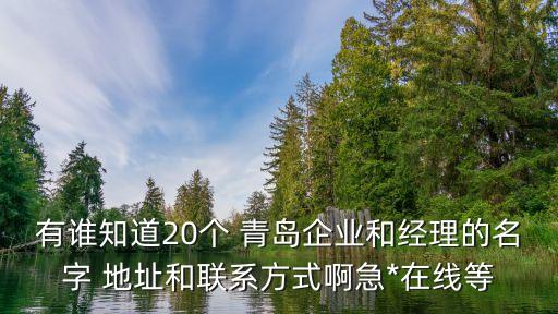有誰知道20個(gè) 青島企業(yè)和經(jīng)理的名字 地址和聯(lián)系方式啊急*在線等
