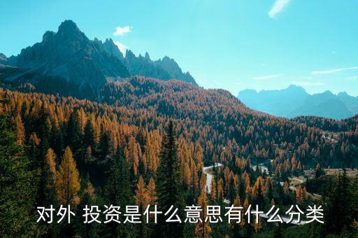  對(duì)外 投資是什么意思有什么分類