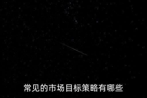 常見的市場目標策略有哪些