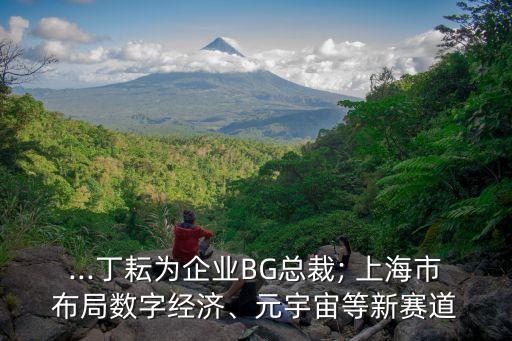...丁耘為企業(yè)BG總裁; 上海市布局?jǐn)?shù)字經(jīng)濟(jì)、元宇宙等新賽道