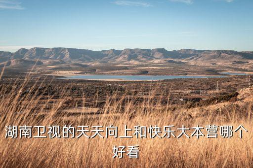 湖南衛(wèi)視的天天向上和快樂大本營(yíng)哪個(gè)好看
