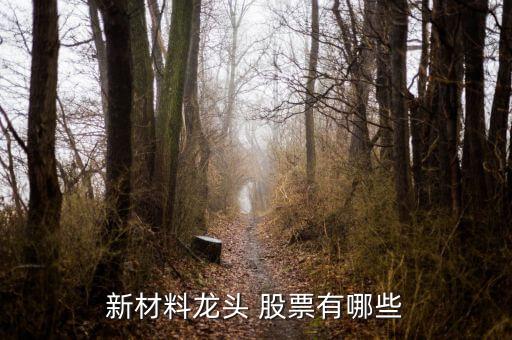 新材料龍頭 股票有哪些