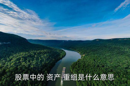 上市公司資產(chǎn)重組案例,創(chuàng)業(yè)板上市公司重大資產(chǎn)重組審核規(guī)則