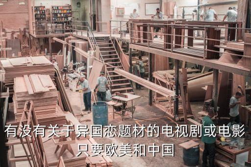 有沒有關(guān)于異國戀題材的電視劇或電影只要?dú)W美和中國