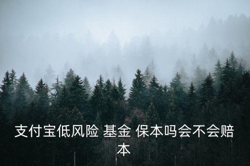 支付寶低風(fēng)險 基金 保本嗎會不會賠本