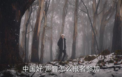 中國好聲音報名費(fèi)40萬