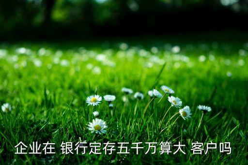 企業(yè)在 銀行定存五千萬(wàn)算大 客戶(hù)嗎