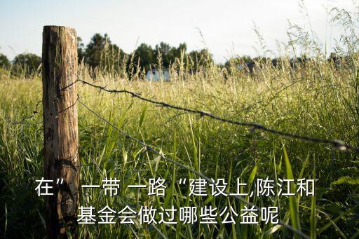 在” 一帶 一路“建設(shè)上,陳江和 基金會(huì)做過(guò)哪些公益呢