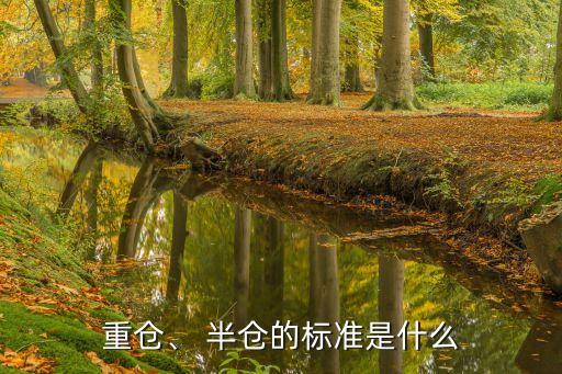 重倉、 半倉的標(biāo)準(zhǔn)是什么