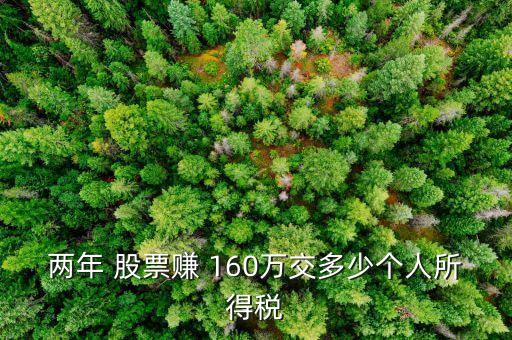 兩年 股票賺 160萬交多少個人所得稅