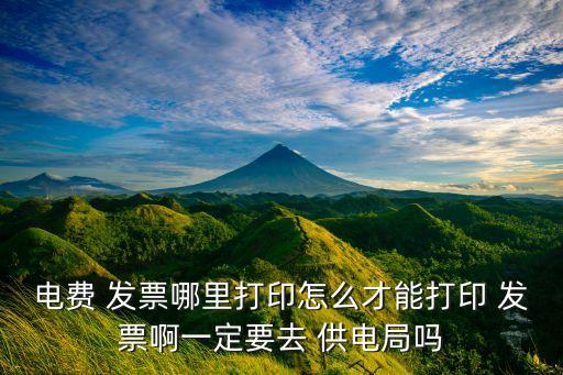 電費(fèi) 發(fā)票哪里打印怎么才能打印 發(fā)票啊一定要去 供電局嗎