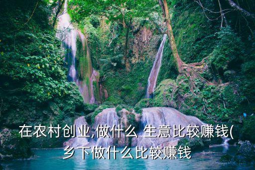 在農村創(chuàng)業(yè),做什么 生意比較賺錢(鄉(xiāng)下做什么比較賺錢