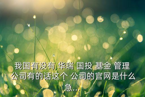 華瑞國投基金管理公司,國投基金管理集團
