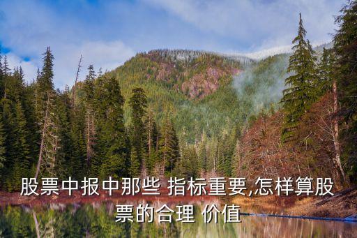 股票中報中那些 指標(biāo)重要,怎樣算股票的合理 價值