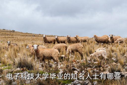 電子科技大學(xué)畢業(yè)的知名人士有哪些