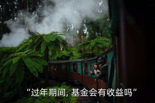 “過年期間, 基金會(huì)有收益嗎”