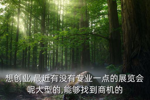 想創(chuàng)業(yè),最近有沒(méi)有專業(yè)一點(diǎn)的展覽會(huì)呢大型的,能夠找到商機(jī)的