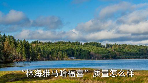 “林海雅馬哈福喜”質(zhì)量怎么樣