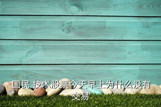  國(guó)民 技術(shù)股票今天早上為什么沒(méi)有交易