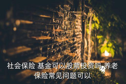 社會(huì)保險(xiǎn) 基金可以股票投資嗎,養(yǎng)老保險(xiǎn)常見(jiàn)問(wèn)題可以