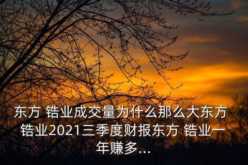 東方 鋯業(yè)成交量為什么那么大東方 鋯業(yè)2021三季度財報東方 鋯業(yè)一年賺多...
