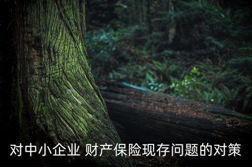 對中小企業(yè) 財產保險現(xiàn)存問題的對策