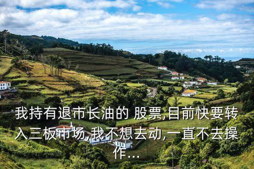 我持有退市長(zhǎng)油的 股票,目前快要轉(zhuǎn)入三板市場(chǎng),我不想去動(dòng),一直不去操作...