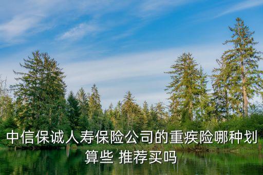 中信保誠(chéng)人壽保險(xiǎn)公司的重疾險(xiǎn)哪種劃算些 推薦買(mǎi)嗎