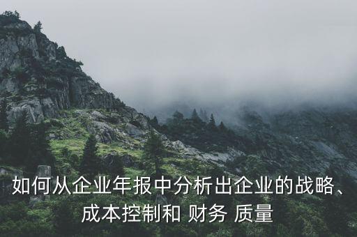 如何從企業(yè)年報(bào)中分析出企業(yè)的戰(zhàn)略、成本控制和 財(cái)務(wù) 質(zhì)量