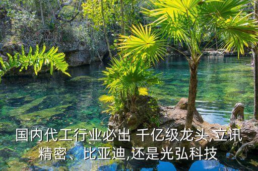國內(nèi)代工行業(yè)必出 千億級龍頭,立訊精密、比亞迪,還是光弘科技