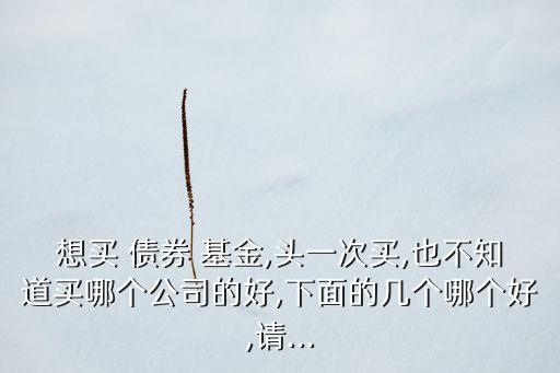 想買 債券 基金,頭一次買,也不知道買哪個(gè)公司的好,下面的幾個(gè)哪個(gè)好,請...