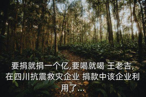 汶川地震捐款王石王老吉跨國(guó)公司,2008年汶川地震王老吉捐款