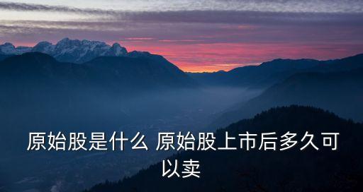  原始股是什么 原始股上市后多久可以賣